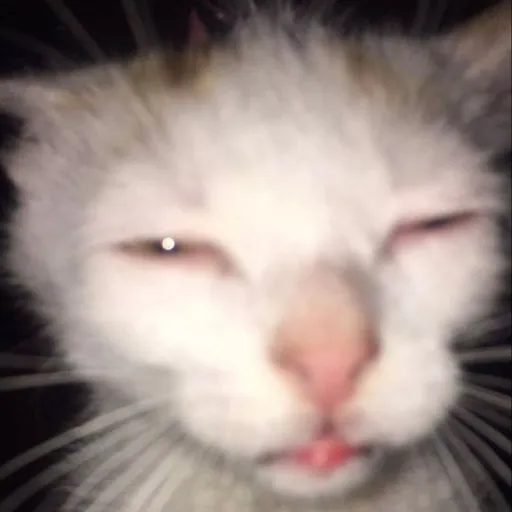 creator Superholyhole's avatar