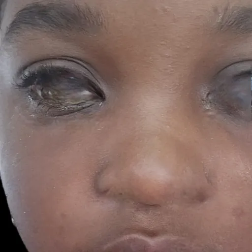 creator Talkior-JmrrIMiX's avatar