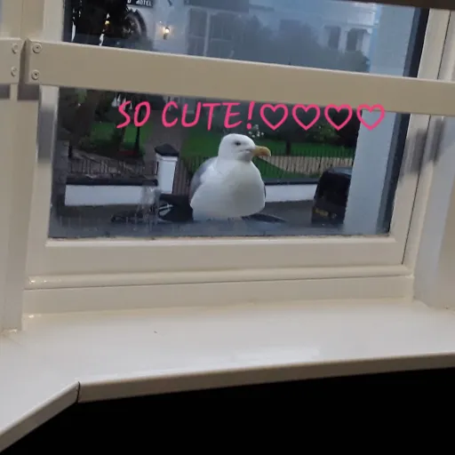 creator Rosalinishere's avatar