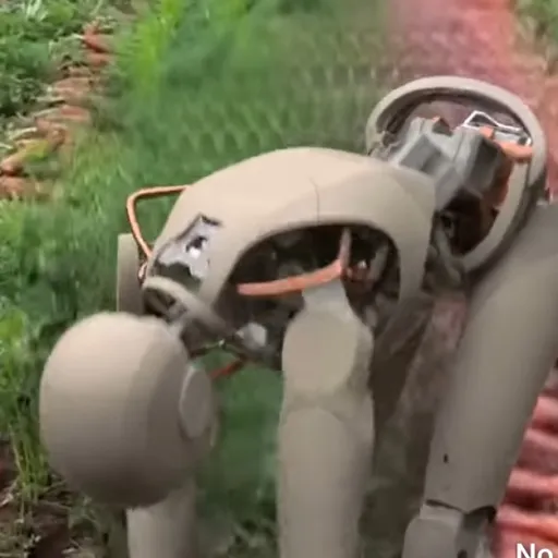 creator packpowetgod's avatar