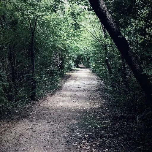 creator Redfox 14's avatar