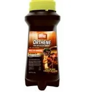 creator star fpe's avatar