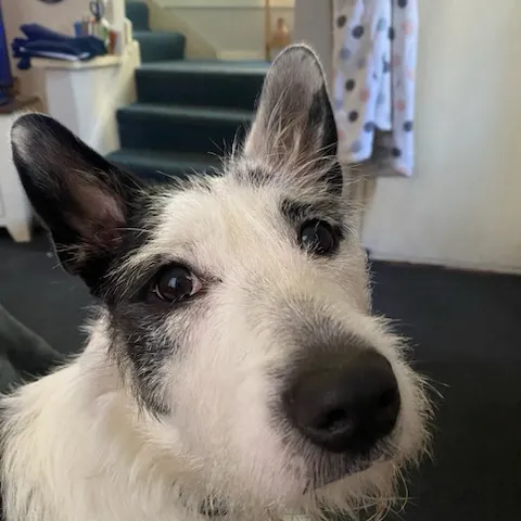 creator Ccs12343's avatar