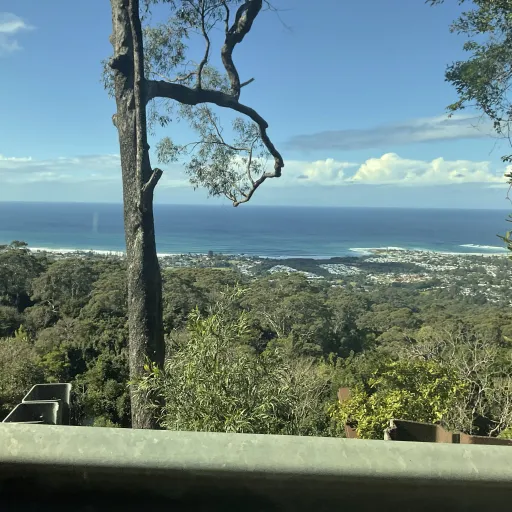 creator Talkior-VlyMfxNU's avatar