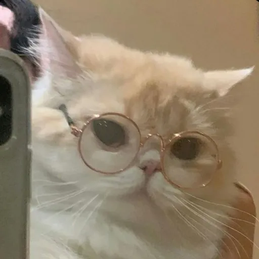 creator Lilly_k199's avatar