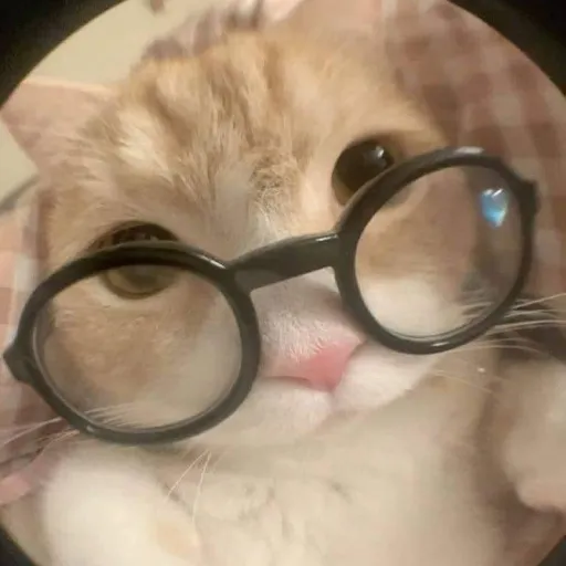 creator danerky's avatar