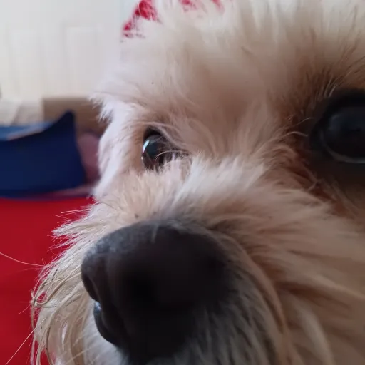 creator MrMcWaffle's avatar