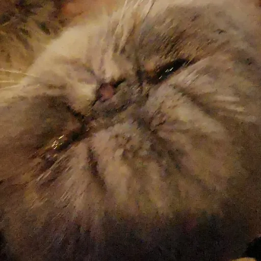 creator Talkior-Ash1's avatar