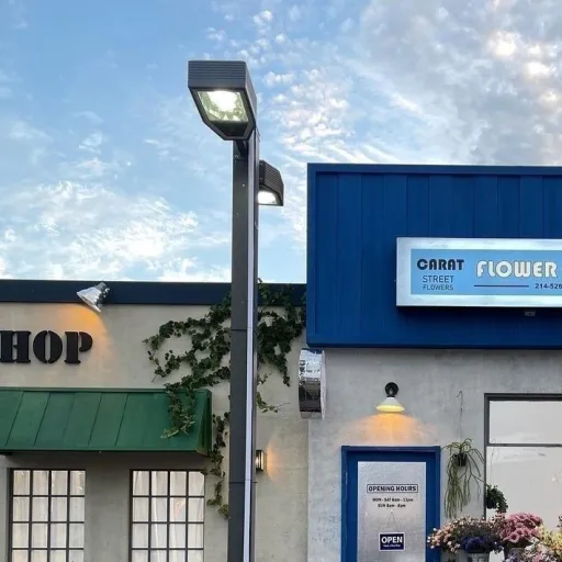 creator Mey💚💫's avatar