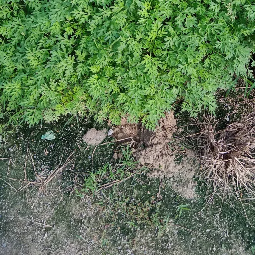 creator @A's the cat's avatar