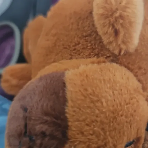 creator capybara_swifty🔮🪄🧸's avatar