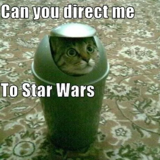 creator Starwars cat's avatar