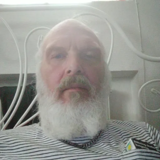 creator Toyet's avatar