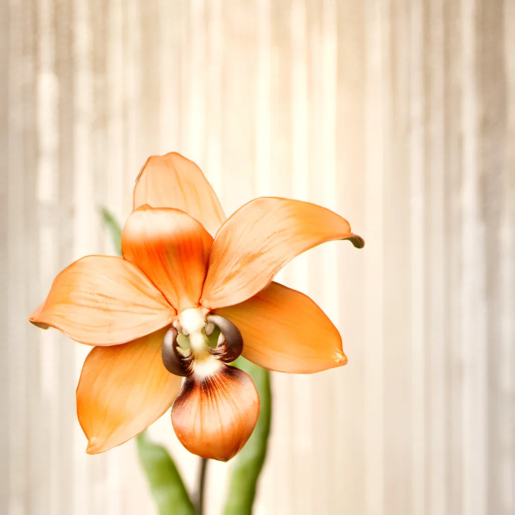 chat with ai character: Kyler