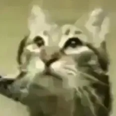 creator TimoEpico XD's avatar