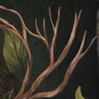 chat with ai character: Shah farid