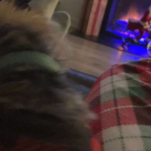 creator I_lovemuichiro's avatar