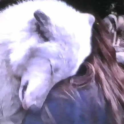 creator Ashley or Lexi's avatar