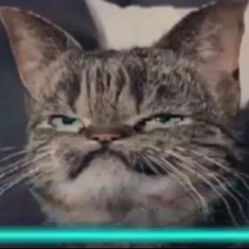 creator Wolf the creator's avatar