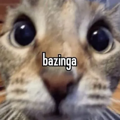 creator bazinga-cat's avatar