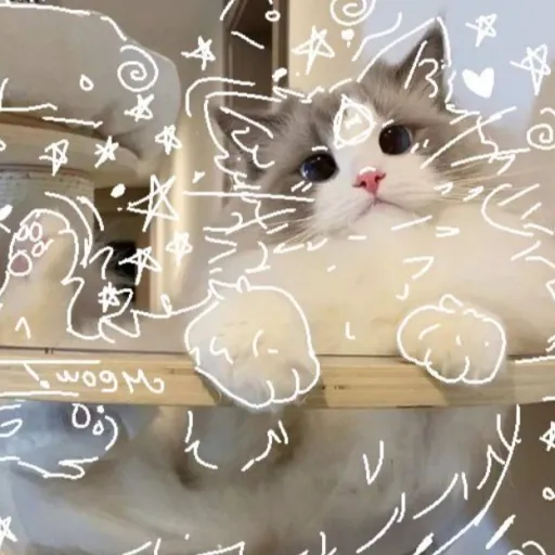 creator KiyanaTiyana's avatar