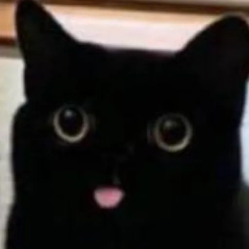 creator Isabel:3's avatar