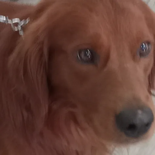 creator Lambirghini's avatar