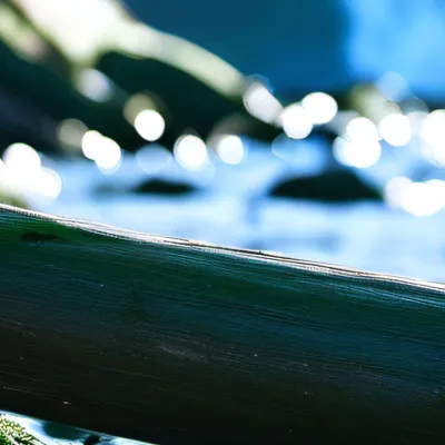 chat with ai character: Bitty b