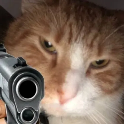 creator Dallasikillall's avatar