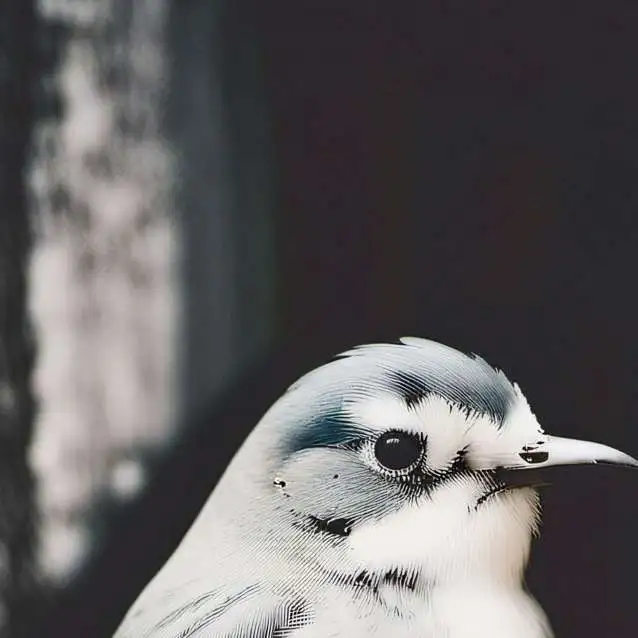 chat with ai character: cheese bird