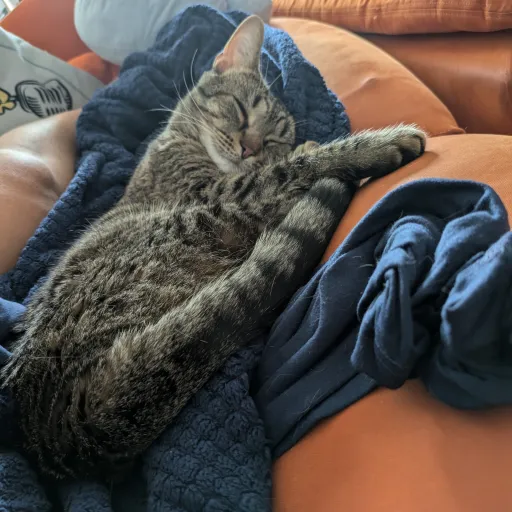 talkie's author avatar