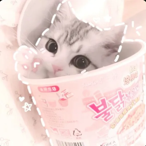 creator Ally_<3's avatar