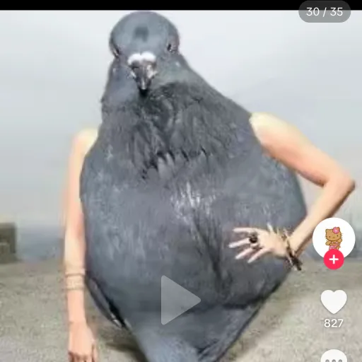 creator DOLNADDUCkF4CK's avatar