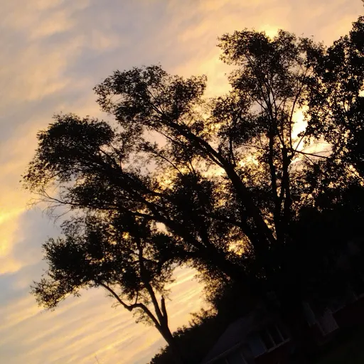 creator jasmine sommer's avatar