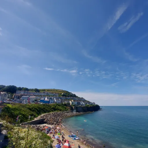 creator Alex whits's avatar