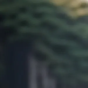 chat with ai character: Giyuu