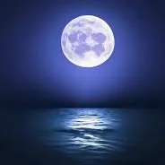 creator ⊱MOON_DUST⊱'s avatar