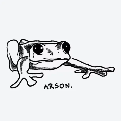 creator Just Some Guy 72's avatar