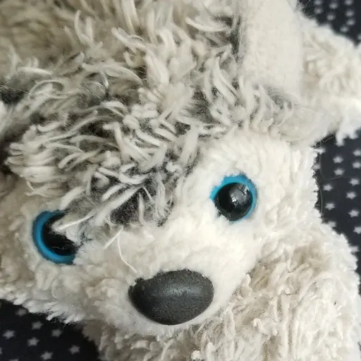 creator Cute_Dragon's avatar