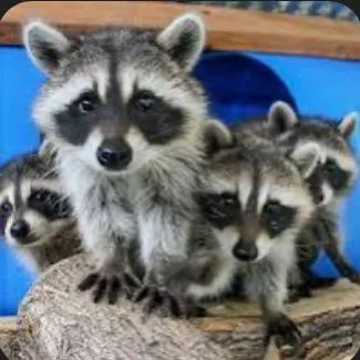 creator Talkior-AE10fVo7's avatar