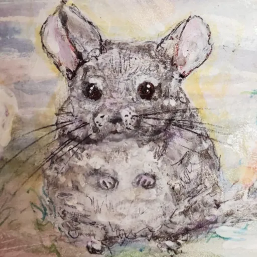 creator Tshanna's avatar