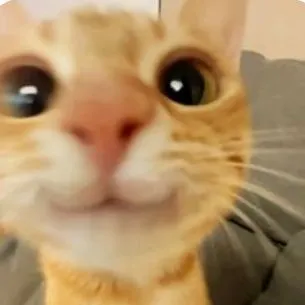 creator A very ood cat....'s avatar