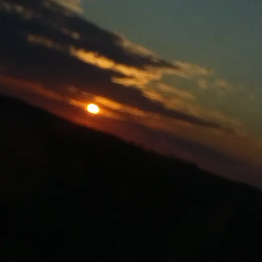 creator galax_paws's avatar