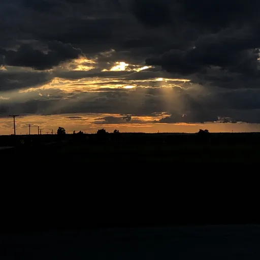 creator Talkior-1Q8upp49's avatar