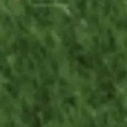 creator TOUCH GRASS✨✨'s avatar