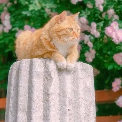 creator 🤪crazymoney's avatar