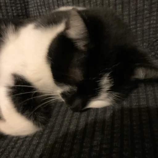 creator B!tchAintHere4U's avatar