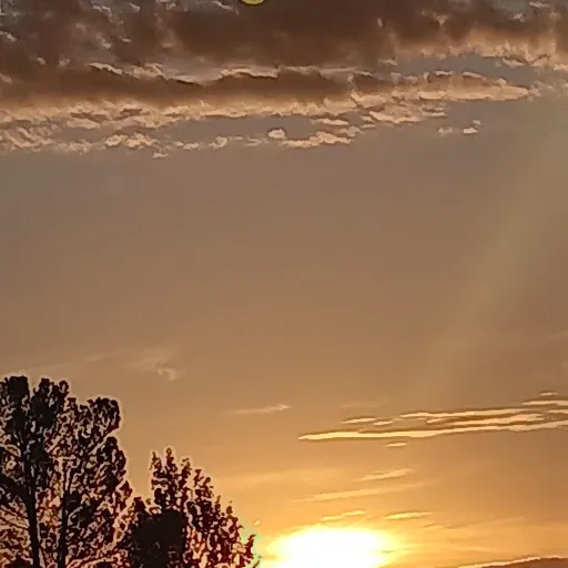 creator Talkior-Simea's avatar