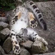 creator Certified_GayFreak's avatar