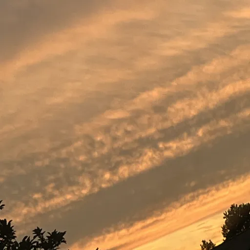 creator Lil_ACE's avatar